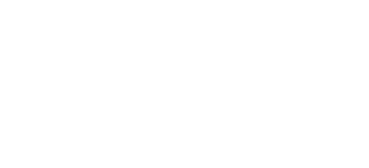 Pride in Diversity